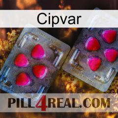 Cipvar 15